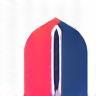 Company Favicon